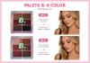 PALETA BOBBI RARA DE SOMBRASCOM 6 CORES