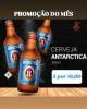 COMBO 3 CRACUDINHA ANTARTICA