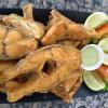 POSTA DE TILAPIA G