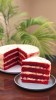 FATIA RED VELVET