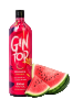 GIN TOP 950ML MELANCIA