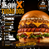 LANX TUDÃO DOG