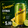 SCHWEPPES 350ML