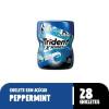 TRIDENT 54GR POTE HORTELÃ