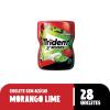 TRIDENT 54GR POTE MORANGO