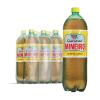 GUARANÁ MINEIRO 2LT