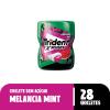 CHICLE TRIDENT GARRAFA MELANCIA/MENTA 54G