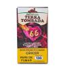 PALHEIRO TERRA TOMBADA 66