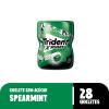 CHICLE TRIDENT POTE 54GR MENTA