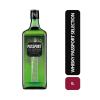WHISKAY PASSPORT SELECTION 1L