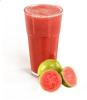 SUCO GOIABA