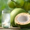 ÁGUA DE COCO