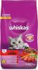 WHI DRY AD CARNE 10,1KG 2022
