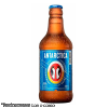 ANTARTICA MINI 300ML