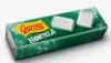PASTILHA HORTELã