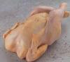 FRANGO CAIPIRA 