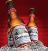 CERVEJA BUDWEISER UN