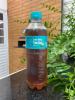 Chá Gelado Leão 450 ml