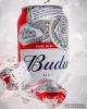 BUDWEISER - LATA 350ml