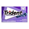 TRIDENT BLUEBERRY 25,2G