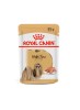 RAÇÃO ÚMIDA ROYAL CANIN SACHÊ PARA CÃES ADULTOS SHIH TZU  85G