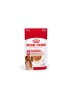 RAÇÃO ÚMIDA ROYAL CANIN SACHÊ MEDIUM CÃES ADULTOS DE PORTE MÉDIO 140G