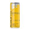 RED BULL FRUTAS TROPICAIS