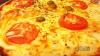 PIZZA MUSSARELA