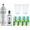 COMBO GIN ROCKS 