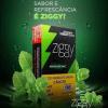 ESSÊNCIA PARA NARGUILE HAPOCALYX MINT ZGY MAÇO COM 50 GRAMAS