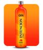 GIN DOCE MORANGO E PÊSSEGO 900 ML VD