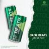 Skol Beats Gree Mix lata 269ml 