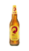 CERVEJA GARRAFA SKOL