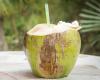 AGUA DE COCO