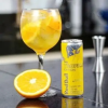 Gin Tropical Red Bull