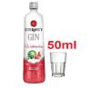 GIN ETERNITY 50ML