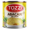 ABACAXI EM CALDA LATA 400G