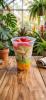 Salada de Frutas 500ml