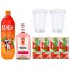 COMBO GIN ROCKS MORANGO COM PÊSSEGO