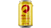 SKOL LATA 350ml