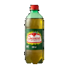 GUARANA ANTARTICA