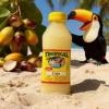 TROPICAL CAJU