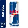 RED BULL TRADICIONAL 250ML