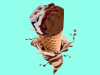 CONE