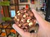 CHOCOLATUDO