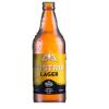 CERVEJA AUTRIA LAGER 600ML
