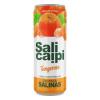 DRINK PRONTO SALICAIPI TANGERINA LT 355ML
