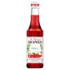XAROPE MONIN CRANBERRY 250ML