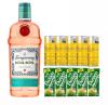 TANQUERAY BOSSA NOVA 5 GELO E 5 REDBULL