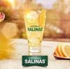 SALINISSIMA